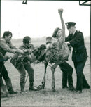 Bird: Ostrich - Vintage Photograph