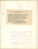 Bird: Ostrich - Vintage Photograph