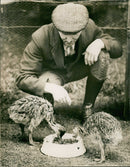 Bird: Ostrich - Vintage Photograph