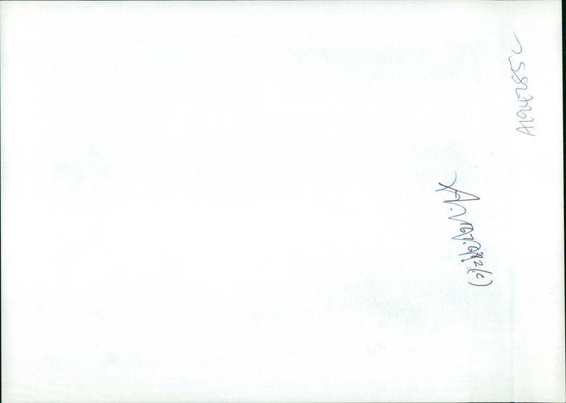 Battle of Vukovar - Vintage Photograph