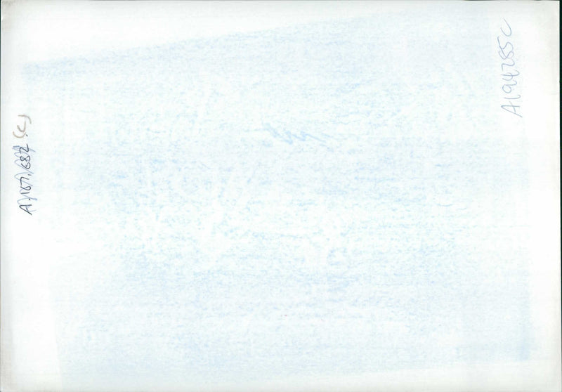 Two Croatian Soldiers. - Vintage Photograph