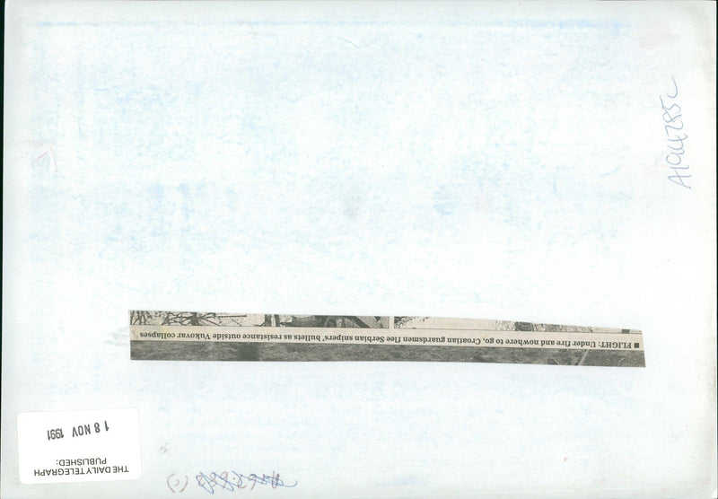 Flight - Vintage Photograph