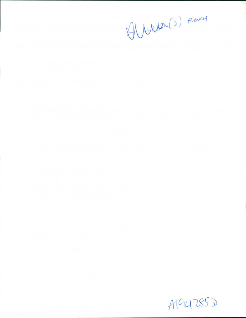 Bosnia UN Troops French Troops Only 1995 - Vintage Photograph