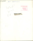 Art Garfunkel - Vintage Photograph