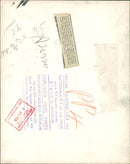 Archduke Ferdinand of Hapsburg and wife, Countess Helena Toerring-Jettenbach. - Vintage Photograph