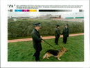 Police with dogs. - Vintage Photograph