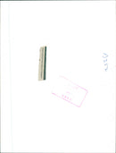 Animal Demonstration rights - Vintage Photograph