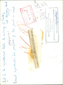 antarctic expedition - Vintage Photograph