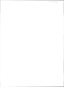 Auberon and Teresa Waugh - Vintage Photograph