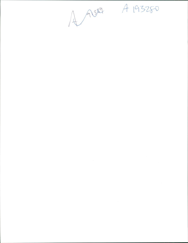 The ArabâIsraeli conflict - Vintage Photograph