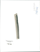 gaza strip - Vintage Photograph