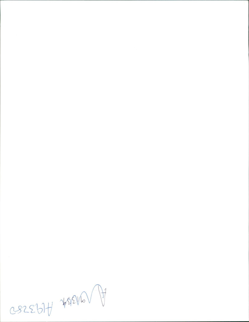 gaza strips - Vintage Photograph