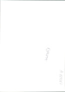 gaaz strips - Vintage Photograph