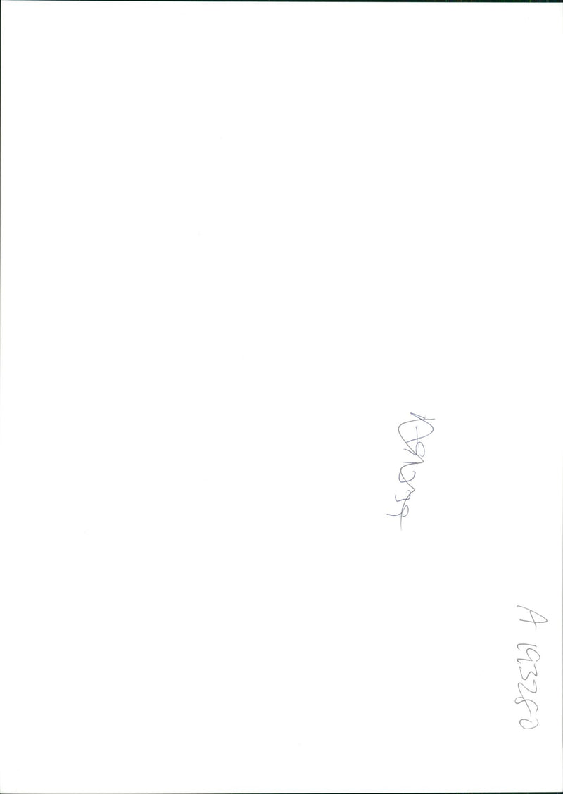 gaaz strips - Vintage Photograph