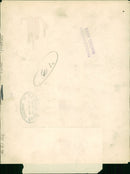 Parrot - Vintage Photograph