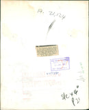 Parrot - Vintage Photograph