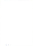 Parrot - Vintage Photograph