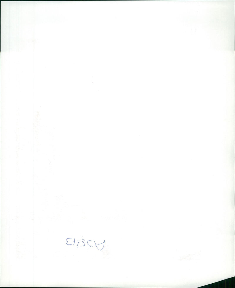 Diane Rawlinson, coach of Figure skater Tonya Harding - Vintage Photograph