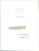 duchess of Gloucester. - Vintage Photograph