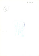 duchess of Gloucester. - Vintage Photograph