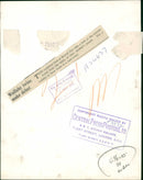 Red-necked wallaby Animal. - Vintage Photograph