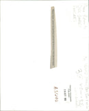 Volvo Cars - Vintage Photograph