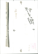 Volvo Cars - Vintage Photograph