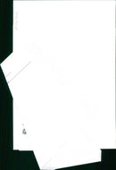 blur - Vintage Photograph