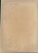 Ilona Staller Hungarian-Italian porn star. - Vintage Photograph