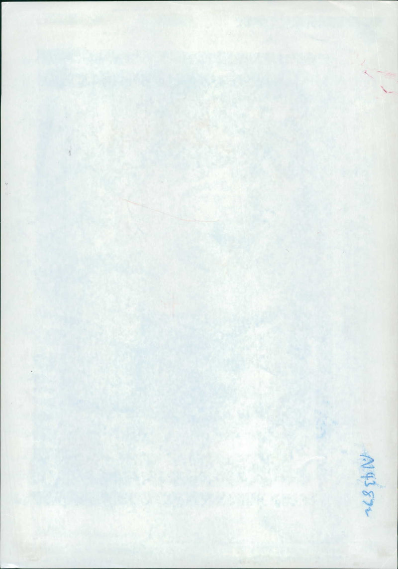 Elvis Presley - Vintage Photograph