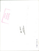 Elvis Presley with the president - Vintage Photograph