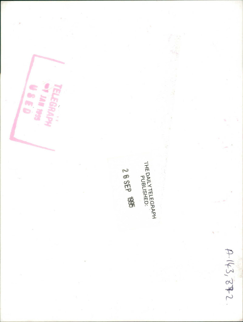 Elvis Presley with the president - Vintage Photograph