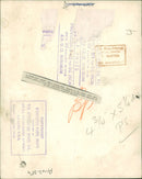 General Mohamed Neguib - Vintage Photograph