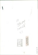 Knights Cross Medal - Vintage Photograph