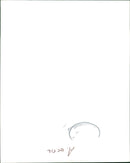 Billy Idol Musician. - Vintage Photograph