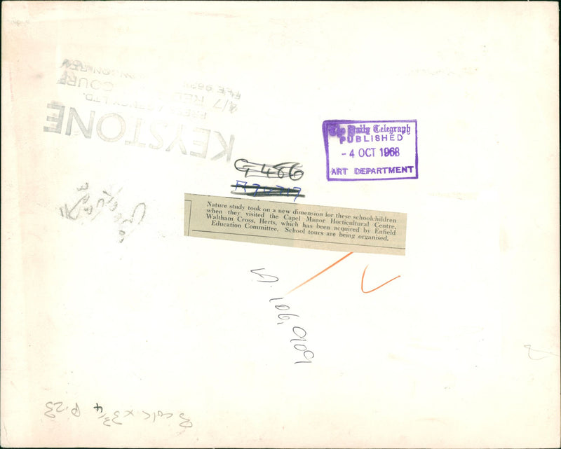 nature study of children - Vintage Photograph