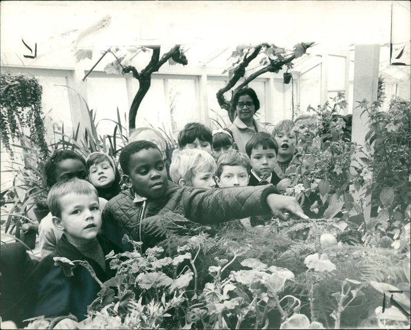 nature study of children - Vintage Photograph