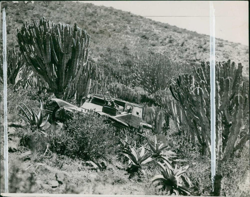 Italo-Ethiopian war - Vintage Photograph