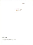 Renzo Piano - Vintage Photograph