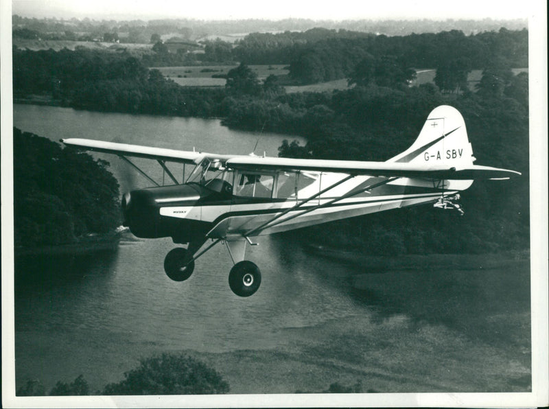 A Beagle Husky on the way - Vintage Photograph