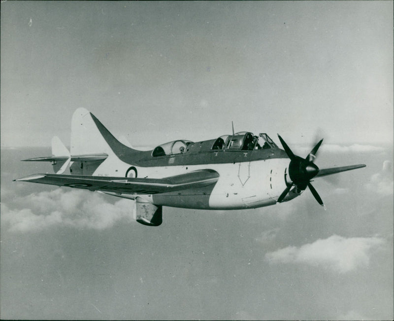 Aircraft Fairey Gannet - Vintage Photograph