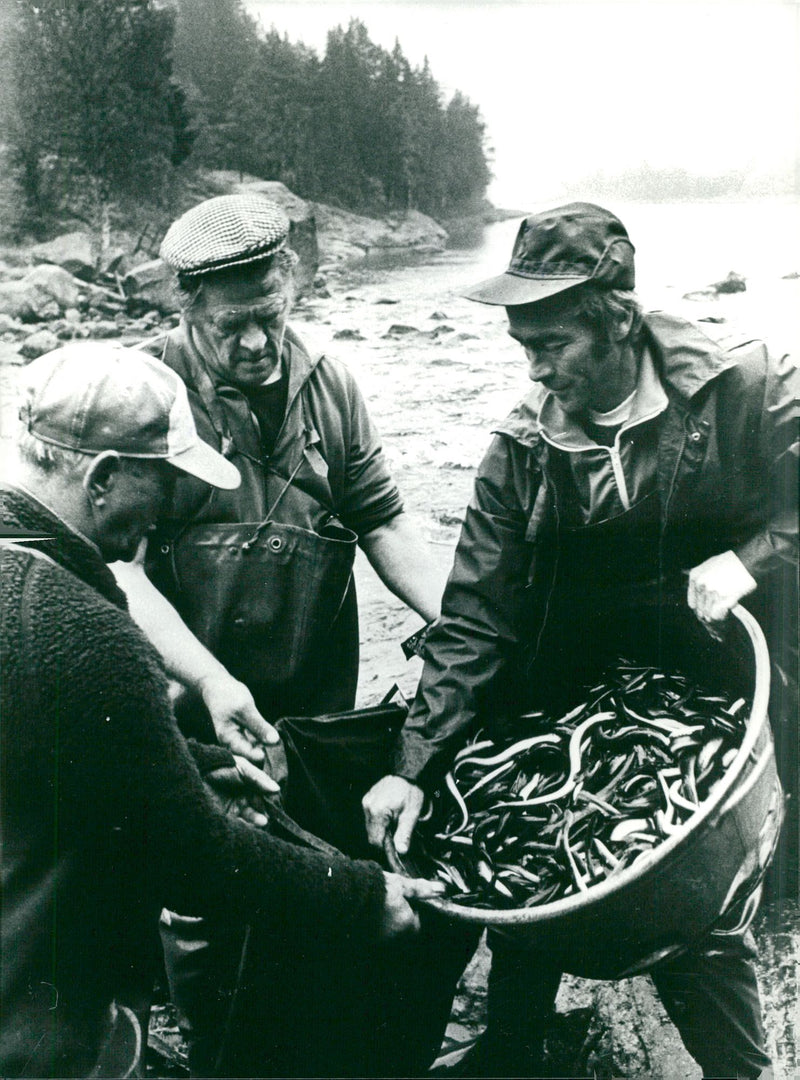 "NÃ¤ttingfiske" - Vintage Photograph