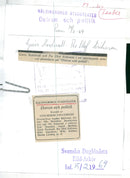 Gurie Nordwall and Per Olof Eriksson in "Oysters and Politics" - Vintage Photograph