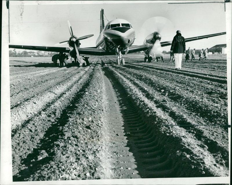 avro 748 feeder aircraft - Vintage Photograph