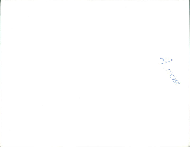 Bosnian girl - Vintage Photograph