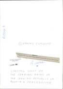 irregulars of the Army. - Vintage Photograph