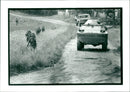 Bosnia war - Vintage Photograph