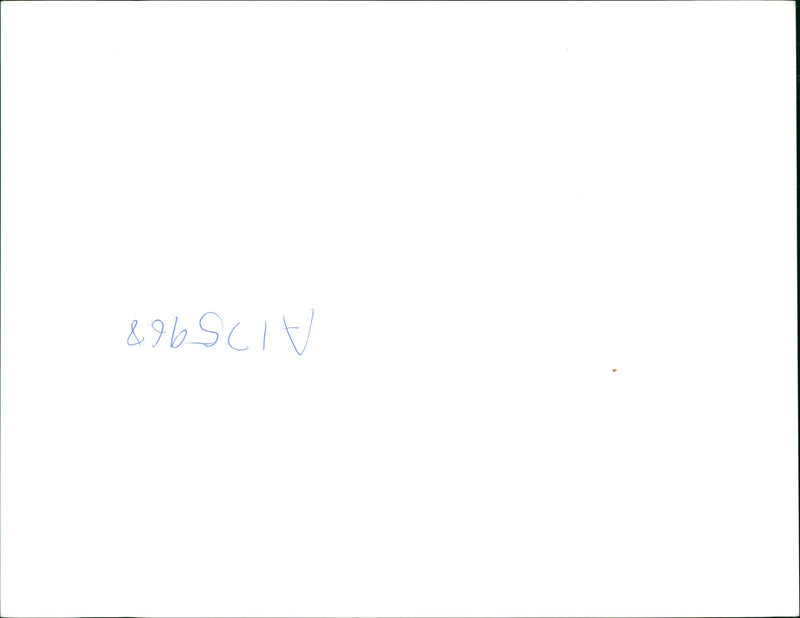 Bosnia fighters - Vintage Photograph