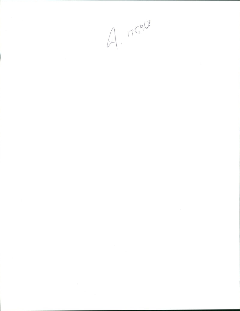 Bosnian War - Vintage Photograph