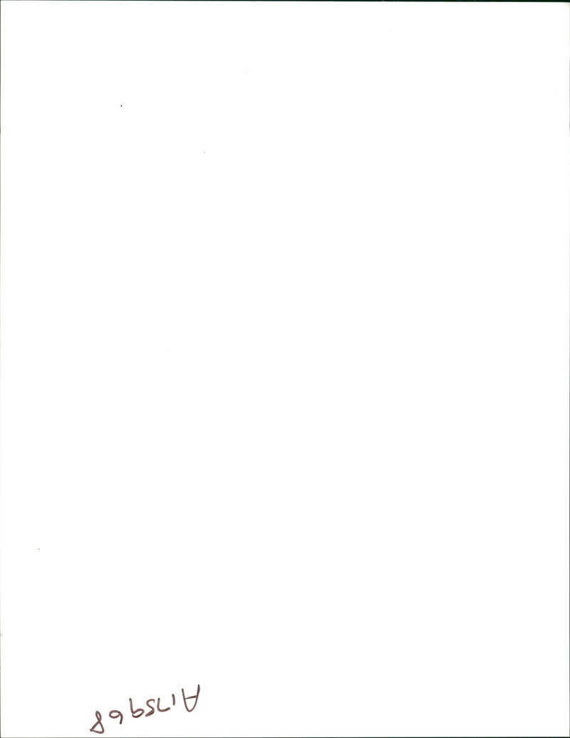 Bosnian War - Vintage Photograph